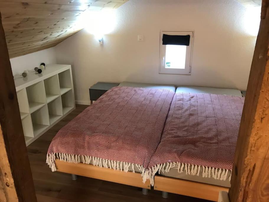 Salgesch La Maisonnette : Charmante Maison Independante מראה חיצוני תמונה